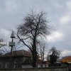 с.Климент-месджид