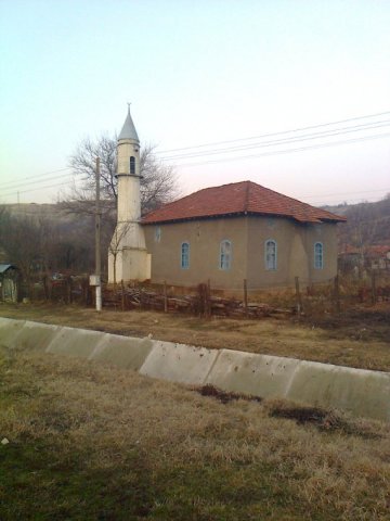 с.Долно Ряхово